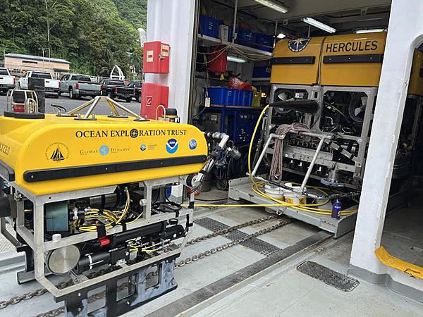 E/V Nautilus Explores Cook Islands’ Deep-Sea Frontier with 4K Imaging Technology