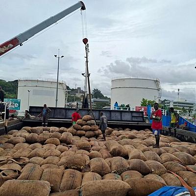 CEMA Strengthens Direct Export Pathways for Copra and Cocoa